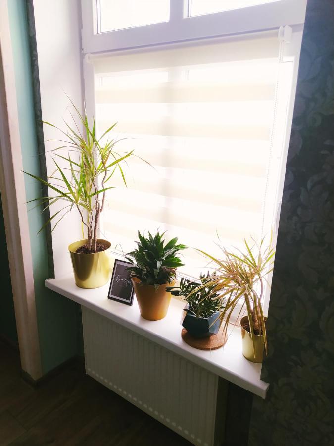 Apartament Santo Bartolomeo Stary Toruń Extérieur photo